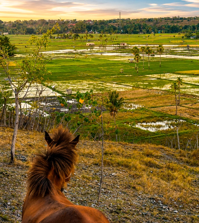 Naturaleza sin masificación en Sumba Oeste