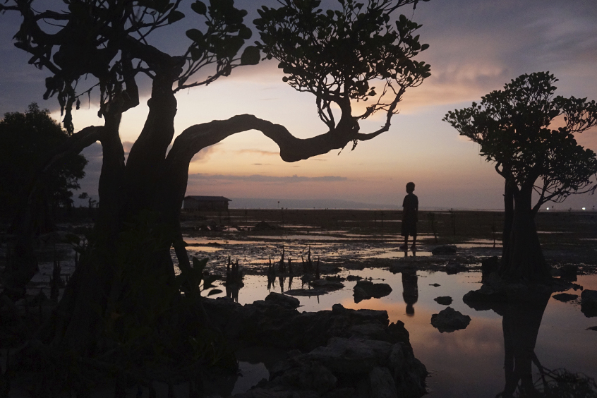 Sumba Oeste